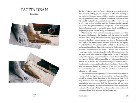 Forms of Enchantment: Writings on Art & Artists - фото 7