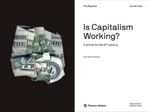 Is Capitalism Working?: A primer for the 21st century - фото 2