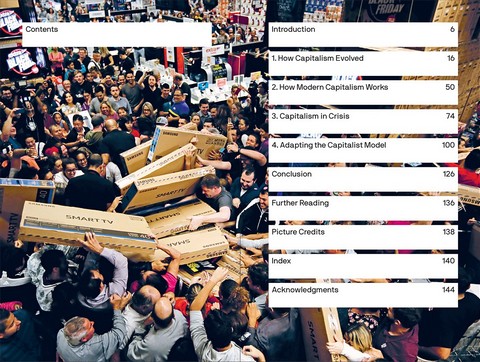 Is Capitalism Working?: A primer for the 21st century - фото 3