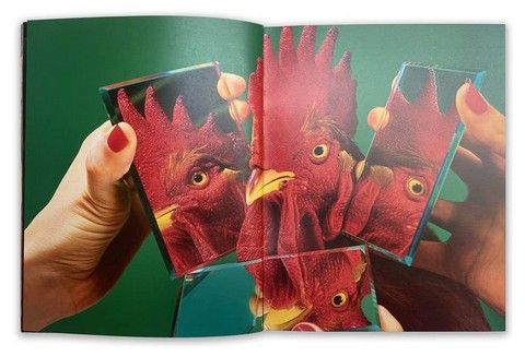 Toiletpaper Magazine 19 - фото 4