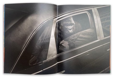Toiletpaper Magazine 19 - фото 6