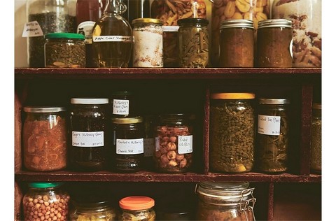 Eat Weeds. A field guide to foraging: how to identify, harvest, eat and use wild plants - фото 2