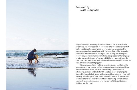 Eat Weeds. A field guide to foraging: how to identify, harvest, eat and use wild plants - фото 3