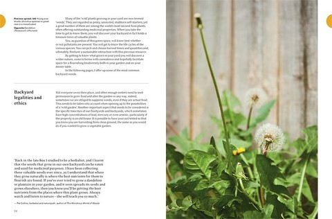 Eat Weeds. A field guide to foraging: how to identify, harvest, eat and use wild plants - фото 6