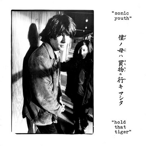 Sonic Youth - Hold That Tiger (2LP, Coloured, Vinyl) - фото 1