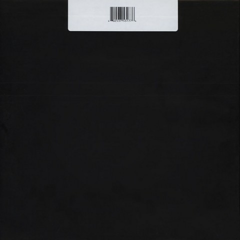 Death Grips – No Love Deep Web (LP, Album, Vinyl) - фото 2