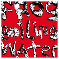 DIIV – Frog In Boiling Water (LP, Album, Vinyl)