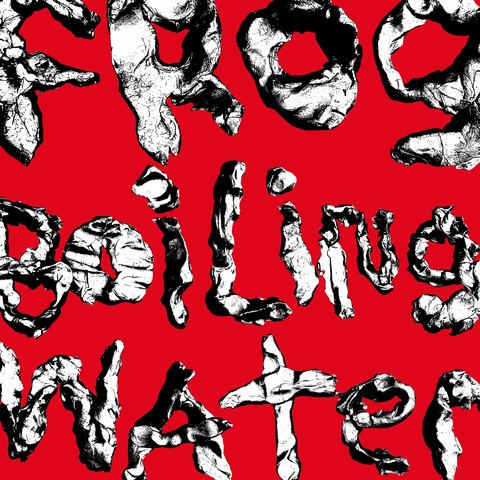DIIV – Frog In Boiling Water (LP, Album, Vinyl) - фото 1