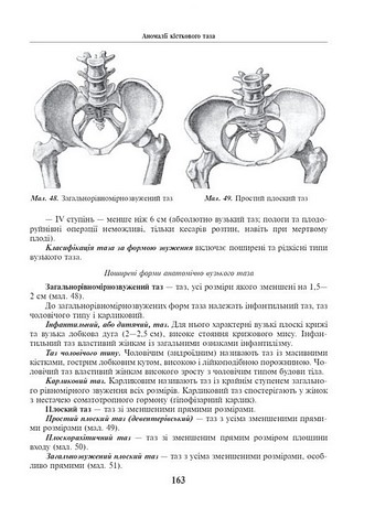 Акушерство і гінекологія у двох книгах. Книга 1. Акушерство. 4-е видання - фото 3