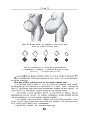 Акушерство і гінекологія у двох книгах. Книга 1. Акушерство. 4-е видання - фото 6