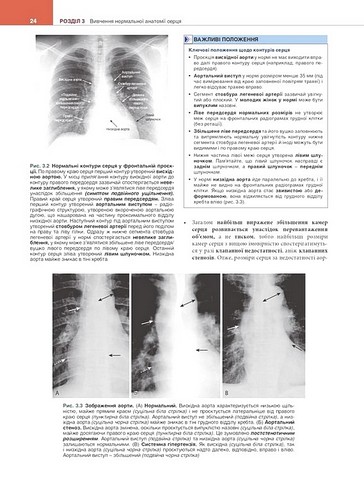 Вивчення радіології. Основи візуалізації. 5-е видання - фото 3