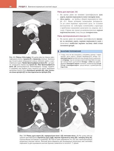 Вивчення радіології. Основи візуалізації. 5-е видання - фото 5