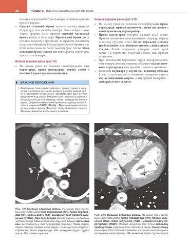 Вивчення радіології. Основи візуалізації. 5-е видання - фото 7