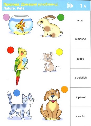 Nature / Природа. Набір карток LOGICO PRIMO. Англійська мова. 1 клас - фото 2