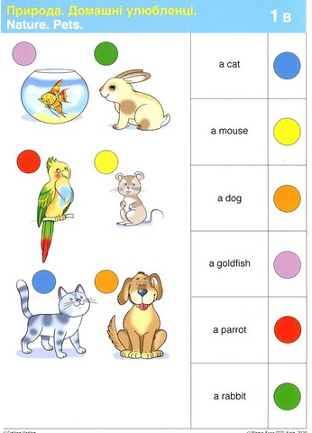 Nature / Природа. Набір карток LOGICO PRIMO. Англійська мова. 1 клас - фото 3