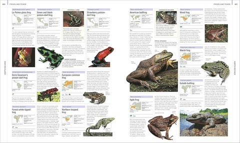 Animal. The Definitive Visual Guide - фото 7