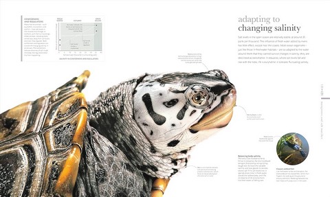 Science of the Ocean - фото 4