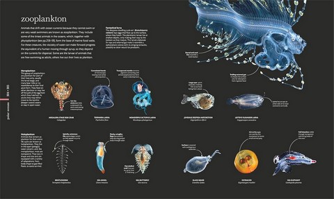 Science of the Ocean - фото 8