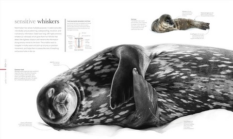 Science of the Ocean - фото 9