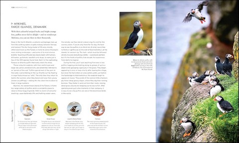 Outdoor Europe - фото 11