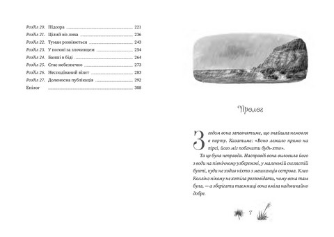 Рубі Феріґейл. Книга 1. Поклик магічних істот - фото 3