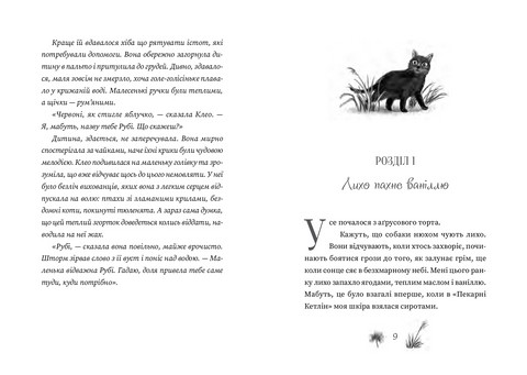 Рубі Феріґейл. Книга 1. Поклик магічних істот - фото 4