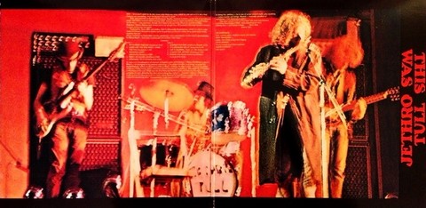 Jethro Tull – This Was (LP, Album, Vinyl) - фото 4