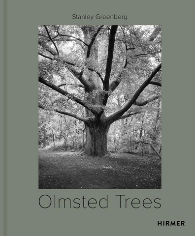 Olmsted Trees. Stanley Greenberg (Bilingual edition) - фото 1