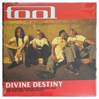 Tool – Divine Destiny - Live At Wings Stadium, Kalamazoo, USA, July 15th 1998 - FM Broadcast