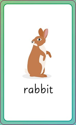 English for Everyone Junior First Words Animals Flash Cards - фото 9