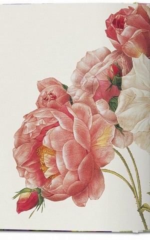Redout. The Book of Flowers. 40th Ed. - фото 6