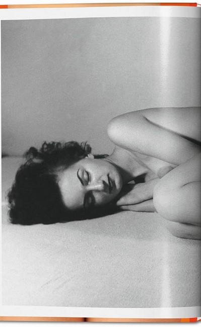 Asses және pussies интимдік арман кітабы