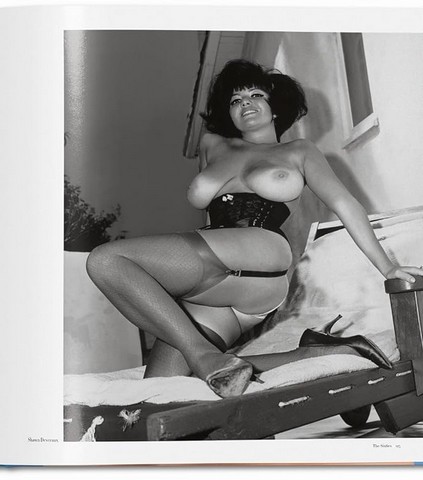 The Big Book of Breasts - фото 5