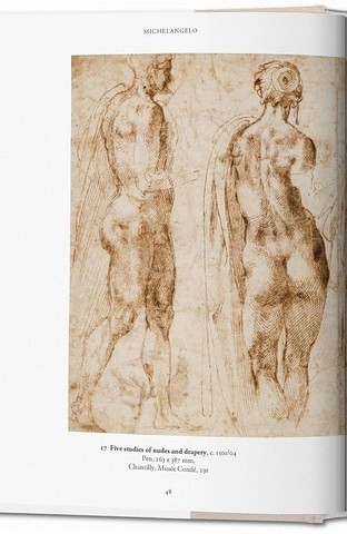 Michelangelo. The Graphic Work - фото 2