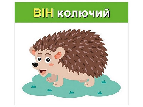 Вивчаємо займенники ВІН, ВОНА, ВОНО, ВОНИ. Навчальні картки - фото 2