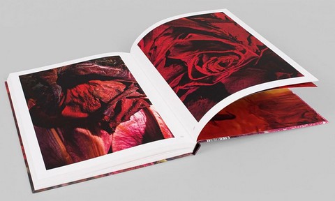 Herlinde Koelbl. Metamorphoses (Bilingual edition) - фото 9