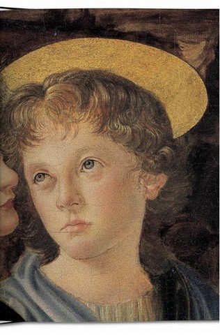 Leonardo. The Complete Paintings - фото 3