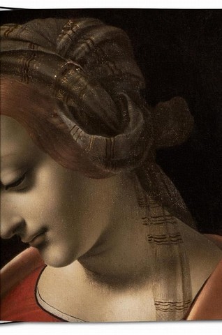 Leonardo. The Complete Paintings - фото 7
