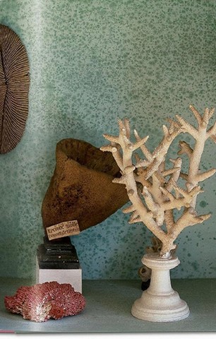 Massimo Listri. Cabinet of Curiosities. 40th Ed. - фото 11