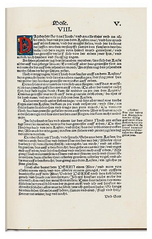 Die Luther-Bibel von 1534 - фото 4
