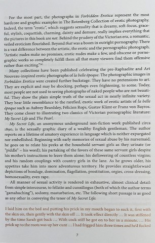 Forbidden Erotica - фото 7
