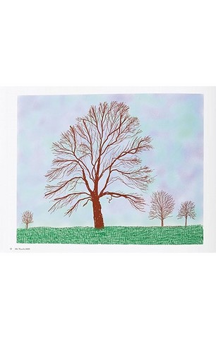 XL. David Hockney. 220 for 2020 - фото 2