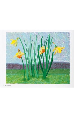 XL. David Hockney. 220 for 2020 - фото 4