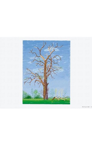XL. David Hockney. 220 for 2020 - фото 5