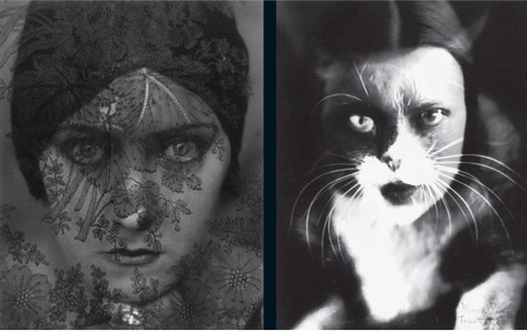 Photography. Two Centuries of History and Images - фото 9