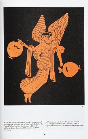 The Book of Symbols. Reflections on Archetypal Images - фото 5