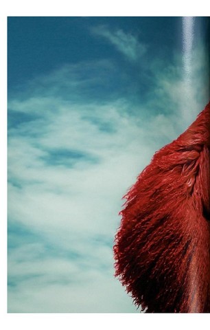 Gisele Bundchen - фото 4