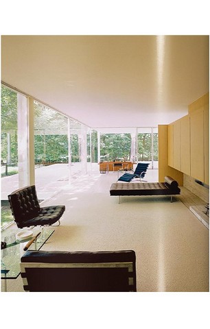 Mies van der Rohe - фото 6
