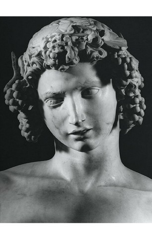 Michelangelo. The Complete Works. Paintings, Sculptures, Architecture - фото 3