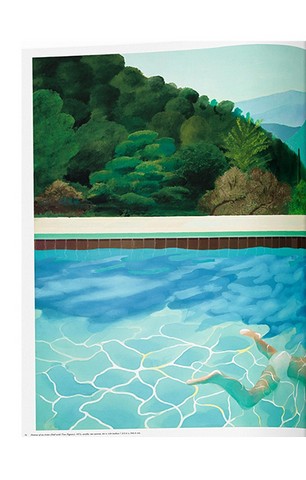 David Hockney. A Bigger Book - фото 12